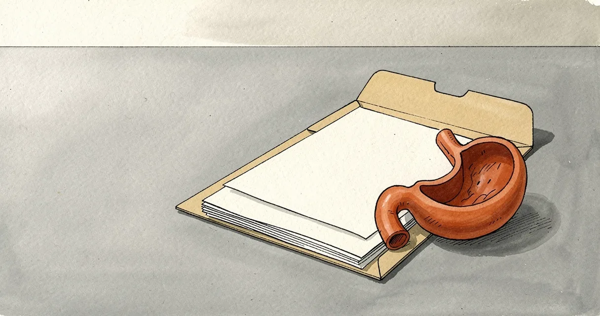 An open paper folder beside a simplified stomach model and loose sheets